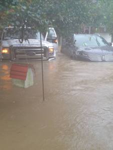 13903249_10208932350980108_1530153448561176323_n