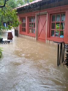 13962753_10208932350740102_7468121132381175424_n