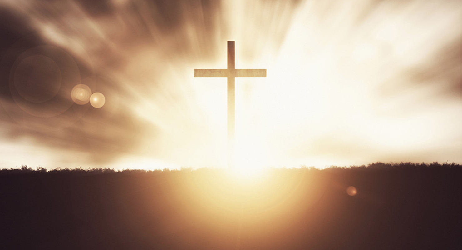 screen shot 2019-01-04 at 7.46.48 pm